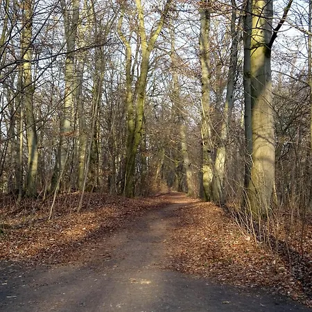 Neubrandenburg-broda - Ruhe Und Mehr *