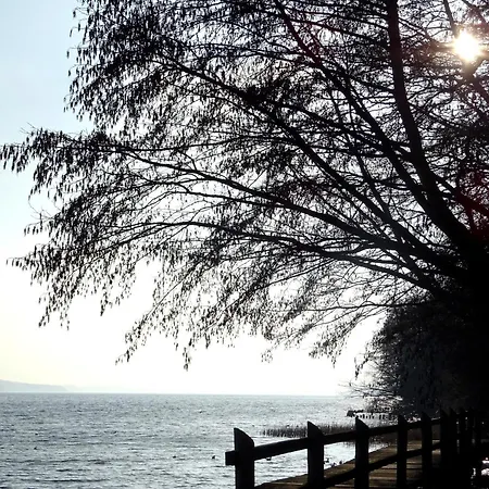 Neubrandenburg-broda - Ruhe Und Mehr Neubrandenburg